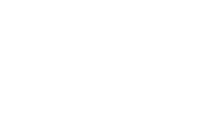 Momentum Metropolitan